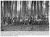 Pineland, Texas Logging Crew ca 1920