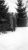 Schwegler, Benjamin Adam ca 1953 Schwegler, Benjamin Adam ca 1953