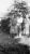 Schwegler Siblings ca 1955 Schwegler Siblings ca 1955